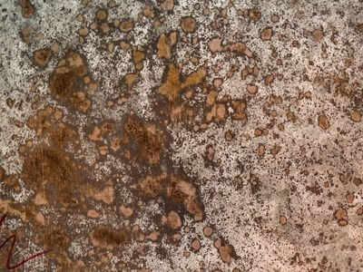 Professional water damage restoration services in Arlington - Shelterwise